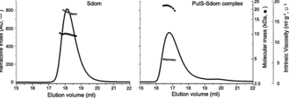 Hydrodynamic properties of Sdom (left panel) and PulS-Sdom complex (right panel) analyzed by SEC-TD, showing refractive index (solid line, left axis), molecular mass (solid squares, inside right axis) and intrinsic viscosity (open squares, outside right axis).