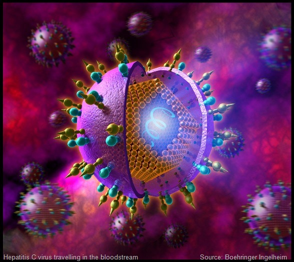 hcv_virusimage_01
