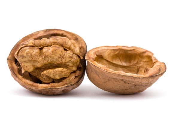 walnut walnut