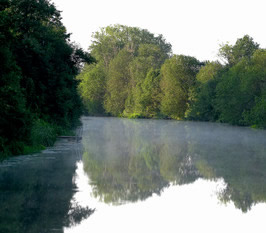 Many rivers and streams in the United States are believed to contain a toxic antimicrobial chemical whose environmental fate was never thoroughly scrutinized despite large scale production and usage for almost half a century, according to an analysis conducted by researchers at the Johns Hopkins Bloomberg School of Public Health.