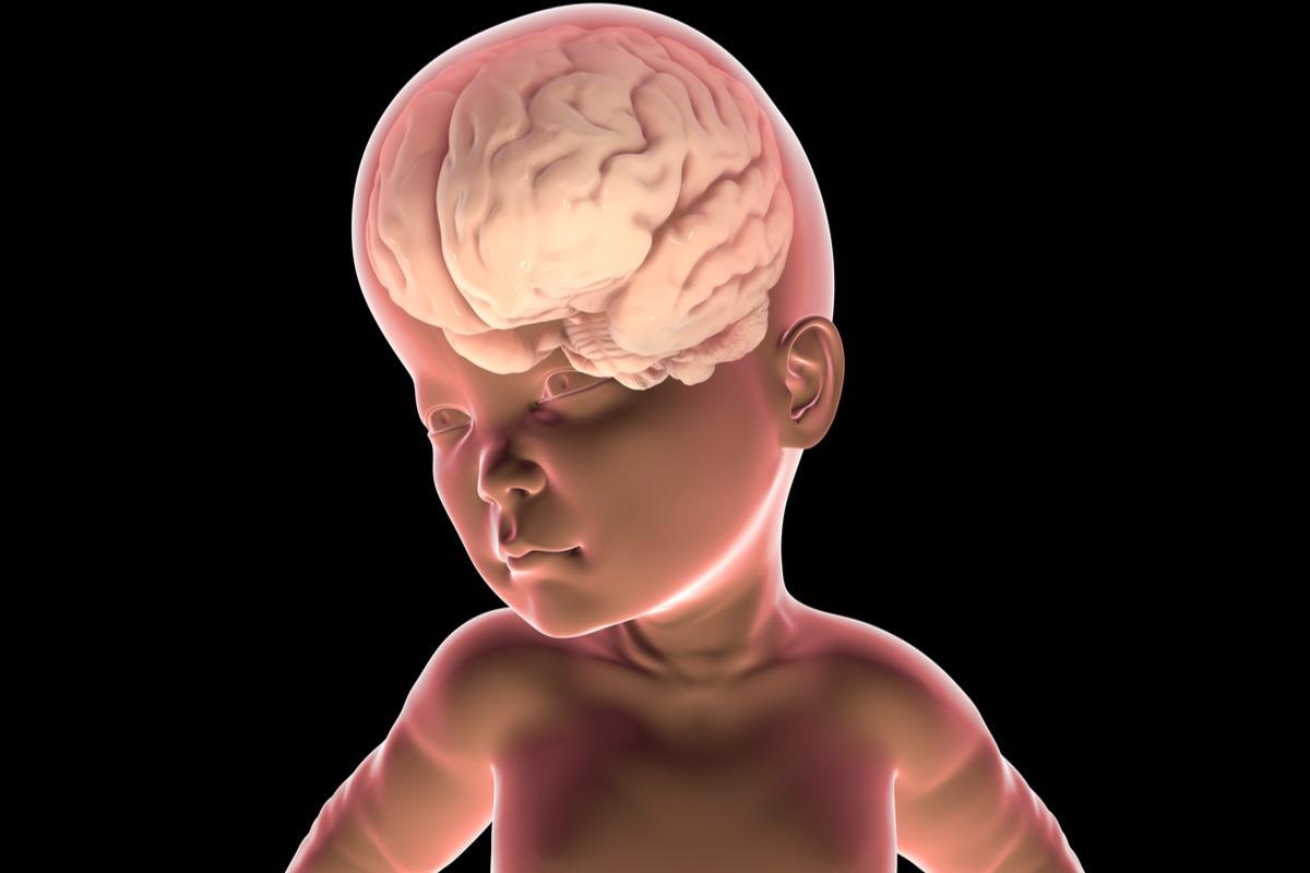 Image Credit: Kateryna Kon/Shutterstock