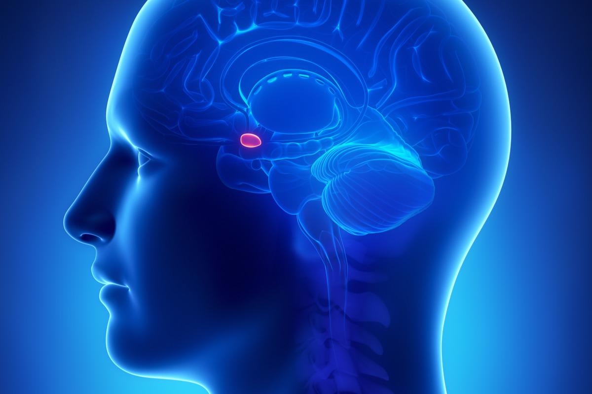 Image Credit: CLIPAREA l Custom media/Shutterstock.com