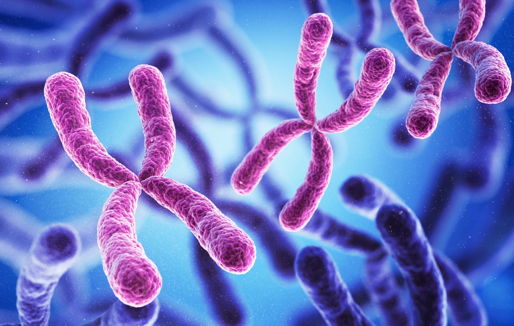 Juberg-Marsidi syndrome is a recessive X-linked disorder. Image Credit: Anusorn Nakdee/Shutterstock.com Juberg-Marsidi syndrome