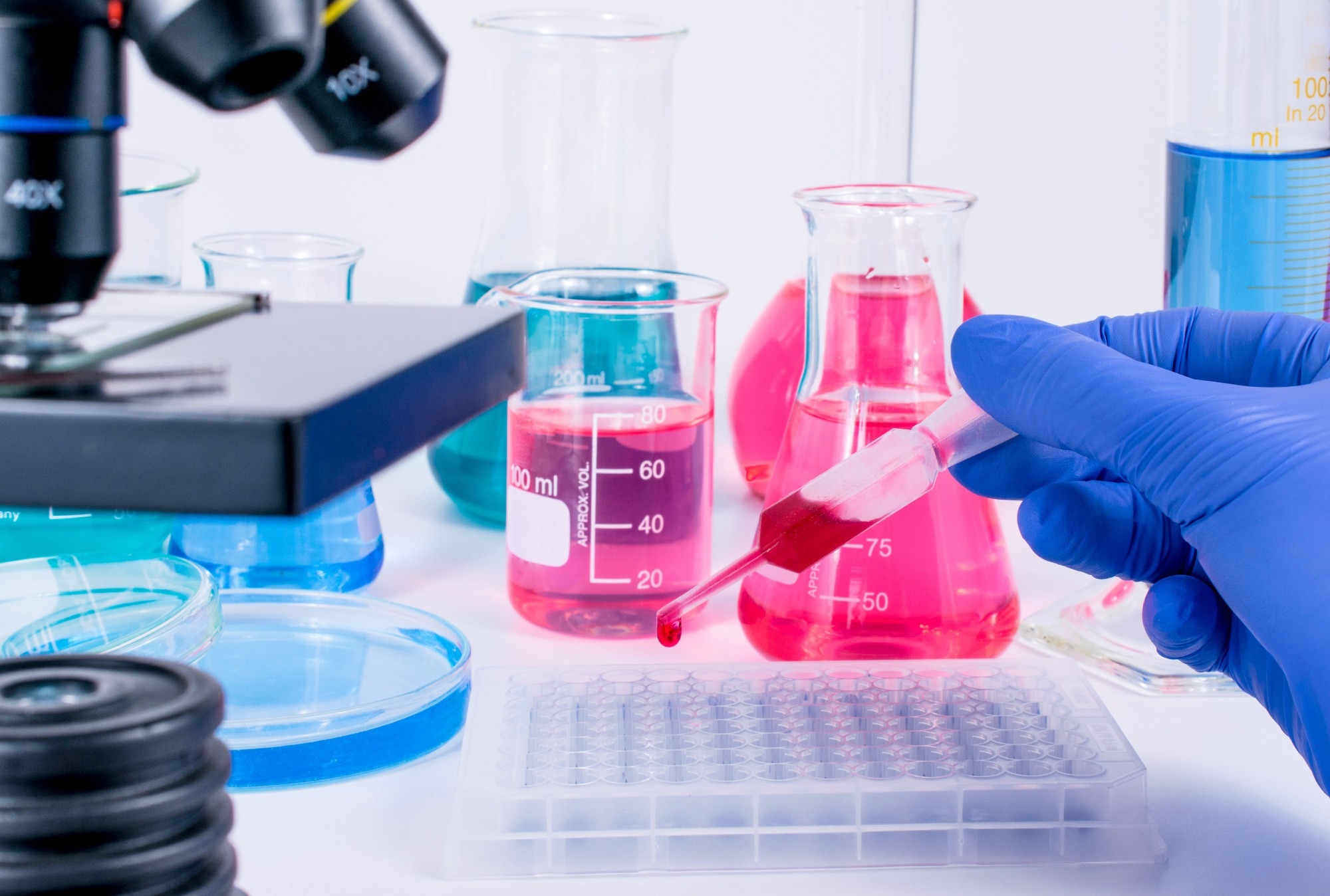 Image Credit: Elpisterra/Shutterstock.com