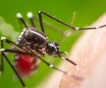 The Science Behind Why Mosquitoes Prefer to Bite Certain People