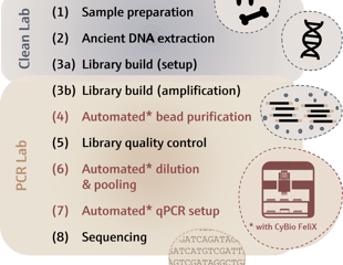 Semi-automated purification of NGS libraries