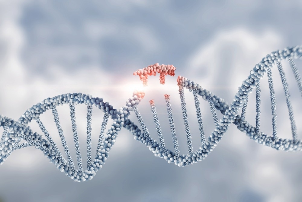 Image Credit: Natali _ Mis/Shutterstock.com