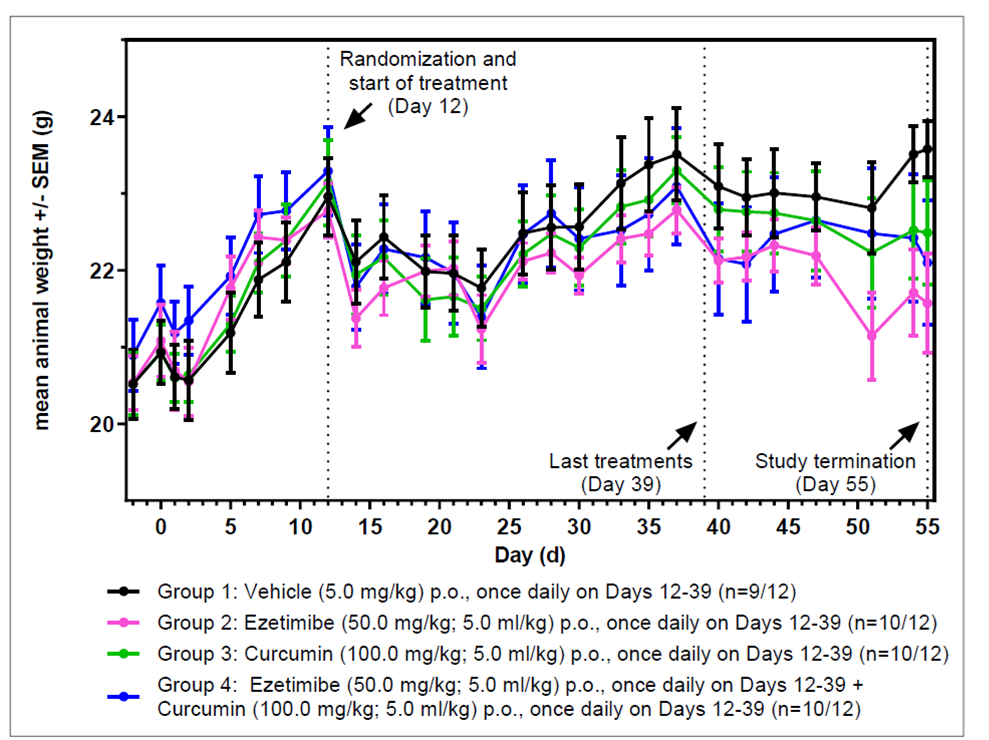 Animal weight over time (g): On Day 0, female NMRI nude mice were implanted orthotopically (caecum) with human HCT-116_Luc colon carcinoma tumour cells and were treated as depicted in the figure. Data are displayed as means +/- SEM.