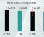 Efficient library preparation for amplicon sequencing