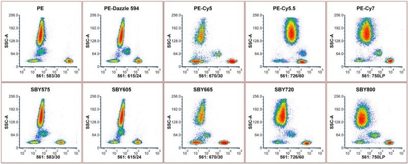 Binding of mouse anti-human CD3 conjugated to StarBright Yellow Dyes and other fluorescent dyes to human peripheral blood. Red blood cell lysed human peripheral blood was stained with fluorescently labeled mouse anti-human CD3 and acquired on the ZE5 Cell Analyzer. Cells were gated on live, single cells