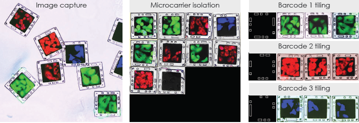 Imaging and barcode deconvolution for downstream analysis