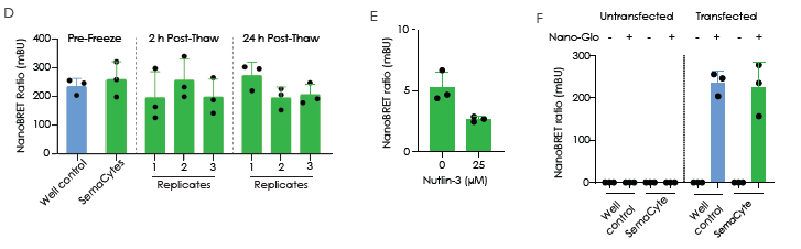 A549 cells were seeded onto an SD20, transfected using Lipofectamine 3000, released, aliquoted and then frozen. (B) GFP transfection had an efficiency of 30-40 % before and after freezing. (C) A549 cells were transfected with a p53:MDM2 NanoBRET Protein-Protein Interaction pair and frozen for later use. Transfected cells displayed high levels of cell viability post-thaw. (D) 50 SemaCytes per well were dispensed into 384-well plates and NanoBRET ratios measured with the BMG FLUOstar Omega. Ratios were consistent and stable 2 and 24 hours after thawing. (E) Nutlin-3 was added 1 hour after thawing and incubated for 4 hours to measure its interference with the p53:MDM2 interaction. (F) Well plate controls and SemaCytes were transfected in parallel and show comparable BRET ratios.