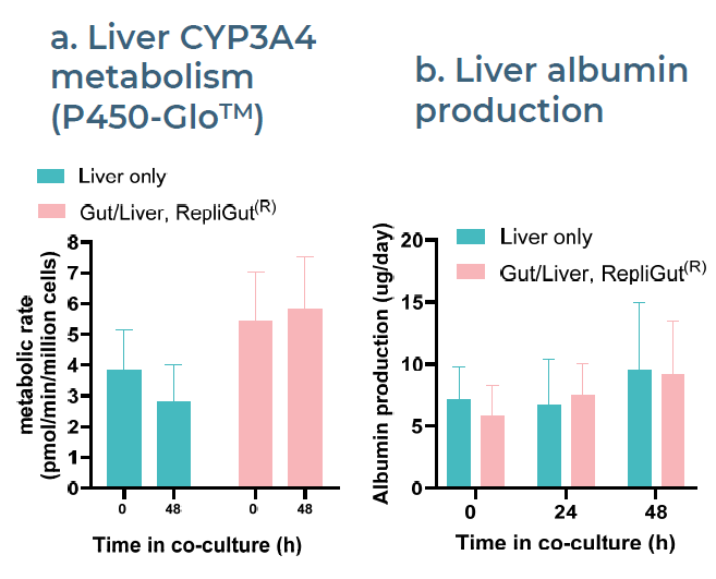 PHH functionality is maintained for at least 48 h in co-culture with RepliGut®