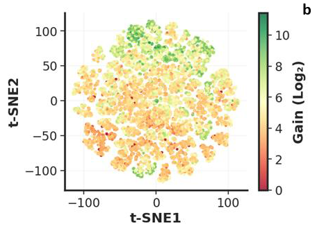 DELiveri®: A high-throughput, hypothesis-free screening platform for identifying novel delivery molecules for RNA therapeutics