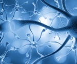 What is Neuroinflammation?