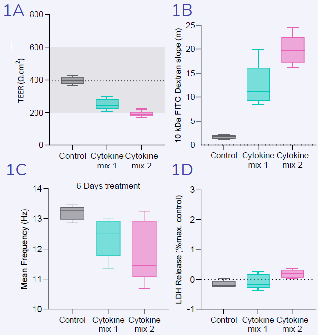 In vitro modeling of small airway epithelium for studying barrier function and mucociliary clearance