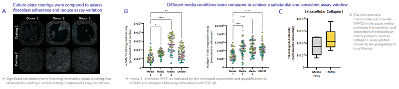 FMT assay conditions have been optimized to ensure reproducibility and achieve the greatest assay window to allow the study of potential anti-fibrotic therapeutics. A) 384-well plates were coated with two different coatings and HLF were seeded into wells at an equal density. Cells were fixed and stained using Hoechst 33342 to detect cell nuclei representative images shown of whole well x4 magnification. B) Four assay medias were compared to determine which assay media promotes FMT to provide a robust and significant assay window. HLF were stimulated with TGF-β1 in four different assay medias. Shown is total integrated intensity normalized to cell number for a-SMA (left) and collagen I (right) of HLF (N=3 donors, each colour point represents a donor) stimulated with 1ng/mL TGF-β1. Statistical analysis performed; one-way ANOVA with Dunnett’s multiple comparisons test compared to Media 1. C) Inclusion of a macromolecular crowding agent (MMC) in the culture media promotes deposition of extracellular matrix and shows an increase in the baseline expression of extracellular collagen I
