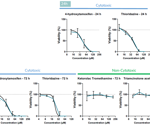 Scalable human iPSC-derived retinal organoids for in vitro toxicology