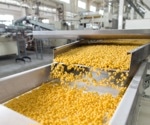 How Ultra-Processed Foods Are Made: Inside the Industry of Engineered Eating
