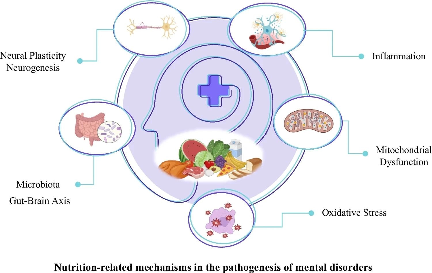 Nutrition-related mechanisms in the pathogenesis of mental disorders9
