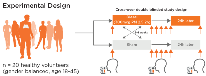 Study design diagram. The orange arrows represent the sampling points for exhaled breath (i.e. before the exposure, immediately after the exposure, and 30 minutes, 1 hour, 3 hours, 6 hours and 24 hours after exposure). In the case of respiratory droplets, the sampling will take place at 3 time points (before exposure, 3 hours after exposure, and 24 hours after exposure)