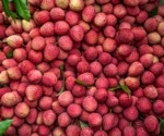 Lychee Health Benefits: Antioxidant, Neuroprotective, and Anti-Cancer Insights