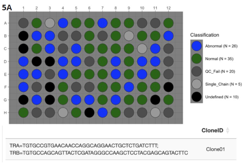 DriverMap™ Single-Cell AIR Immunophenotyping Kit which, in addition to profiling TCRs, includes multiplex primers in the same reaction to profile expression of 36 T-cell marker genes, to identify the most abundant single TCR α/β clonotype pair in leukemic T-cells (35 “Normal” blue wells)