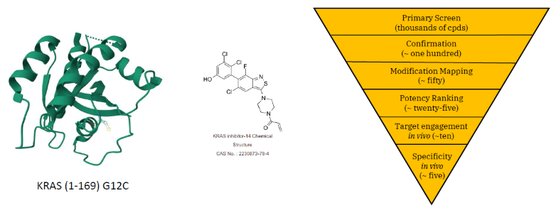 Using mass spectrometry chemoproteomics to advance covalent drug development