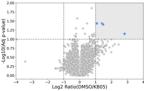 Using mass spectrometry chemoproteomics to advance covalent drug development