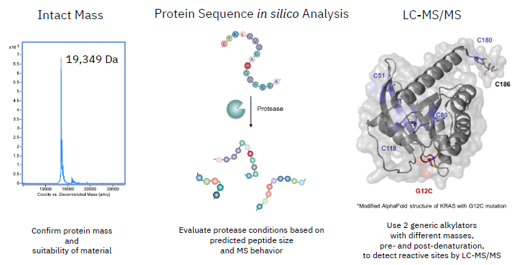 Using mass spectrometry chemoproteomics to advance covalent drug development
