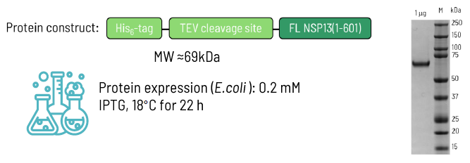 Discovering SARS-CoV-2 NSP13 helicase inhibitors through integrated screening