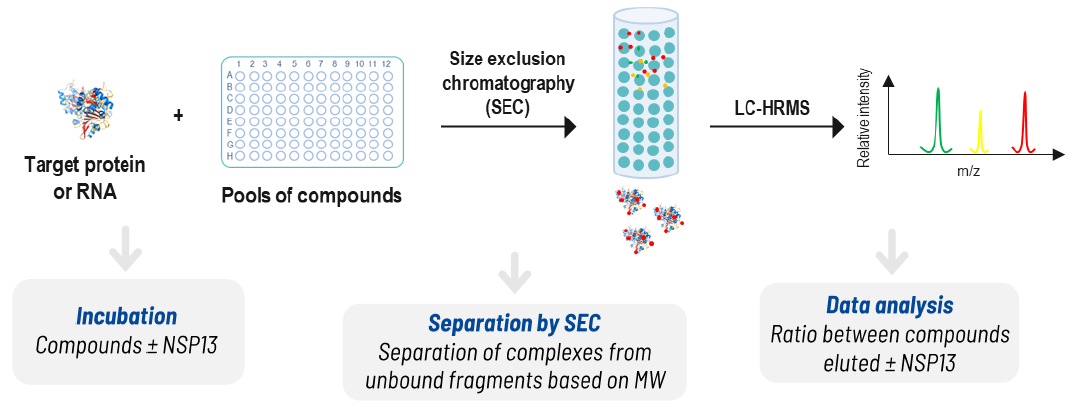 Discovering SARS-CoV-2 NSP13 helicase inhibitors through integrated screening