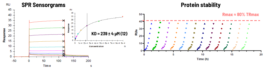 Discovering SARS-CoV-2 NSP13 helicase inhibitors through integrated screening