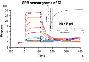 Discovering SARS-CoV-2 NSP13 helicase inhibitors through integrated screening