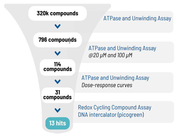 Discovering SARS-CoV-2 NSP13 helicase inhibitors through integrated screening