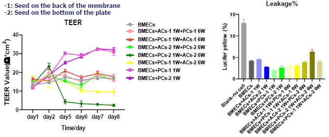 Co-culturing endothelial cells and pericytes to assess drug BBB penetration
