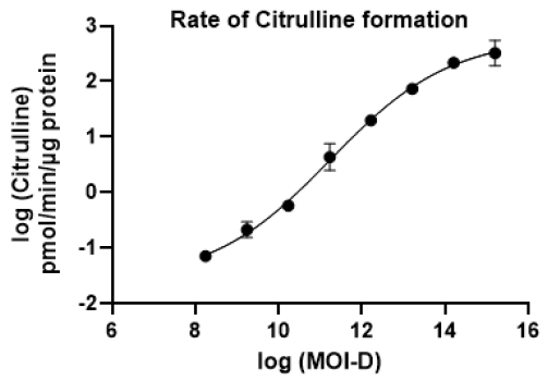Citrulline formation rate as a function of AAV dose in the in vitro functional potency assay. The rate of citrulline formation (pmol/min/μg protein) was quantified by LC-MS/MS and plotted against log-transformed MOI values. Data represent mean ± SEM (n=2).