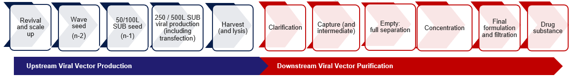 How HTPD transforms AAV process optimization and scale-up