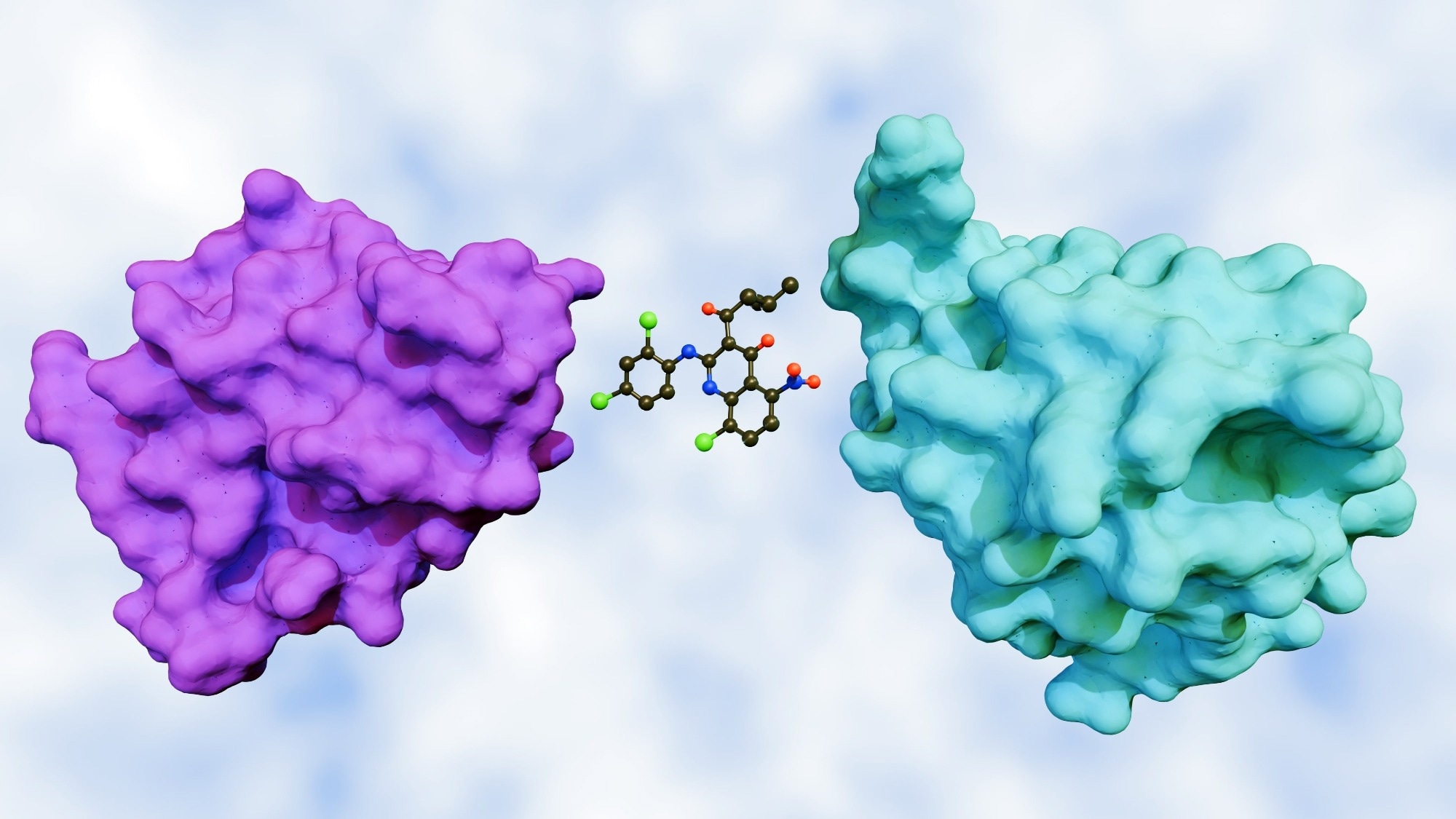 A 3d rendering of a molecular glue mediating the interaction between two proteins, the target proteins that the molecular glue is bringing together.