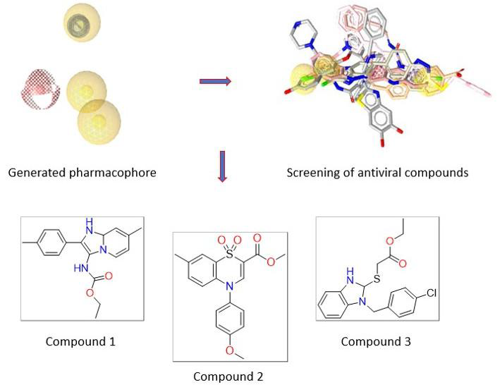 Molecular insights into inhibition of dengue virus NS2B-NS3 protease by antiviral compounds