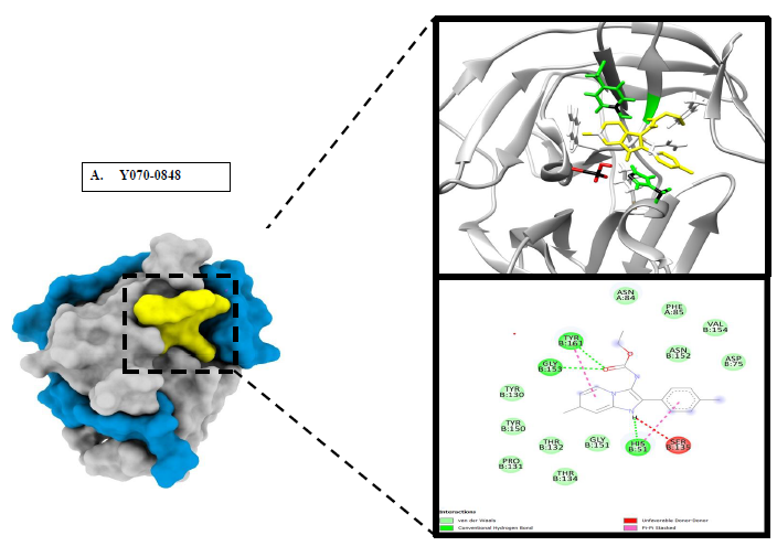 Compound 1_Ns2b-Ns3 protease interactions