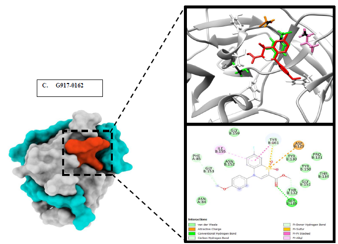 Compound 3_Ns2b-Ns3 protease interactions