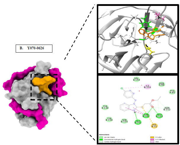 Compound 2_Ns2b-Ns3 protease interactions