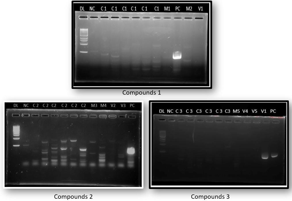 Compound 3 exhibited a complete absence of bands.