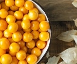 Golden Berry (Physalis peruviana): Anti-Inflammatory Properties and Emerging Evidence for Metabolic Health