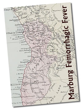 Medical teams attempting to control the worst outbreak ever recorded of the deadly Marburg virus in Angola are beginning to see the light at the end of the tunnel as cooperation from stricken communities improves, the U.N. health agency said.