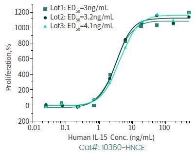 Utilizing stem cells to support and aid cancer therapy