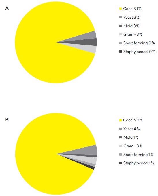 A. Composition of the microbiological population grown on the test gelatin filters. Almost all microbes grown on test filters is Cocci. This figure shows a breakdown of microbes grown on soybean-caseindigest agar medium plates from test filters. B. Composition of the microbiological population grown on the reference gelatin filters. Almost all microbes grown on reference filters are Cocci. This figure shows a breakdown of microbes grown on soybean-casein-digest agar medium plates from reference filters.