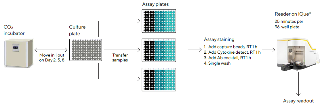 Screening workflow