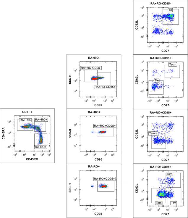 Gating of T memory cells at plate level